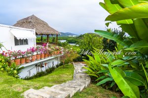 se renta for rent villa del bosque peninsula de juluapan manzanillo colima mexico-36