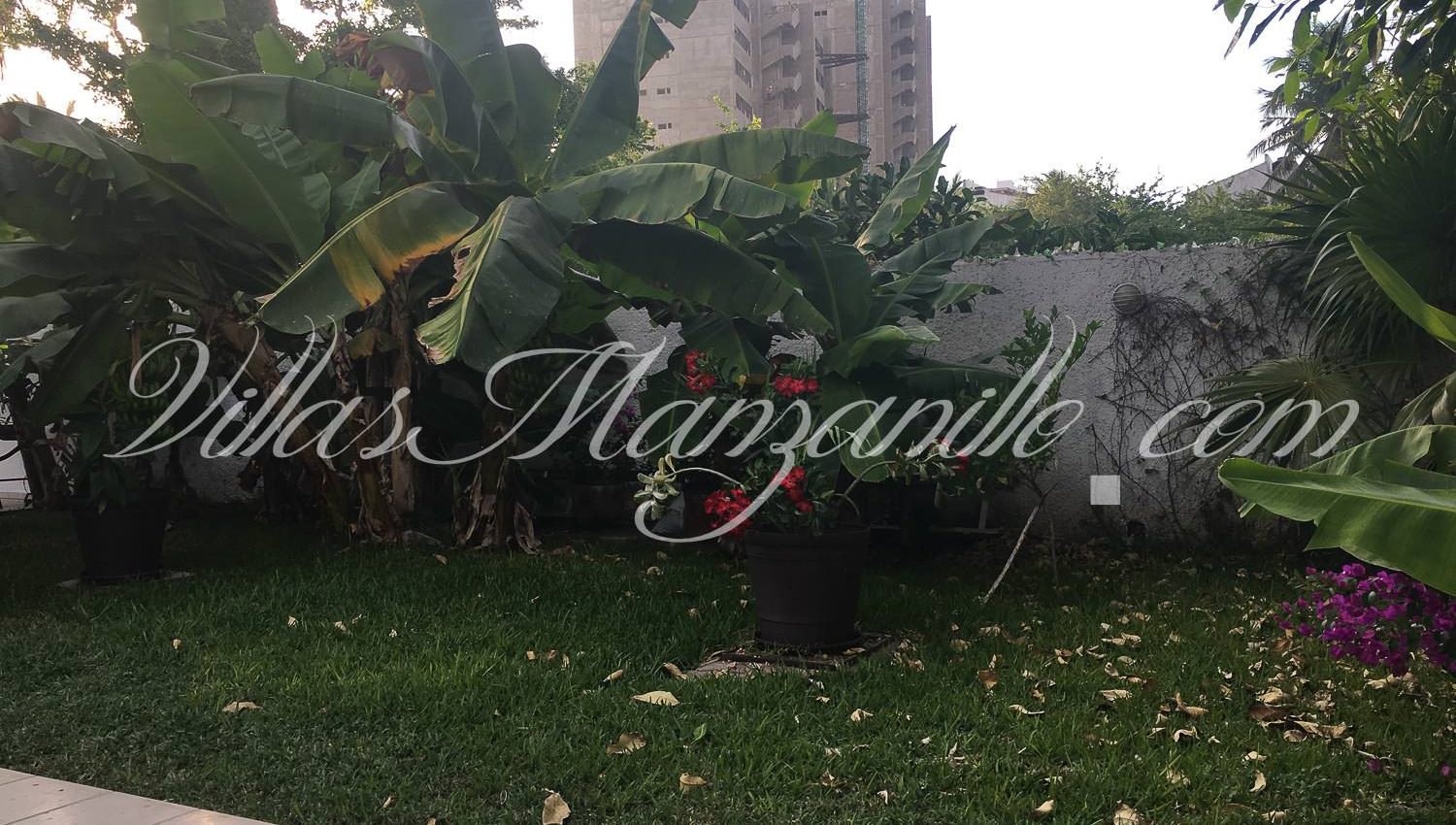 Se Renta for Rent Vacation Rental Manzanillo Santiago Olas Altas Departamento-7